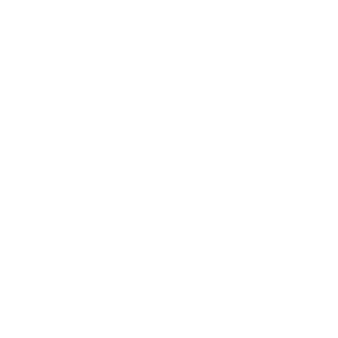D4 Digital